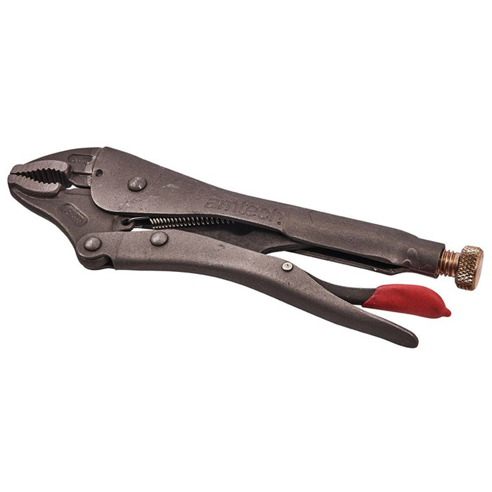 250mm (10") Curved jaw locking pliers