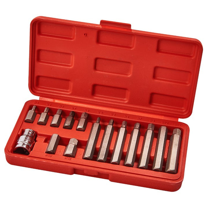 15 Piece Hex bit and socket set